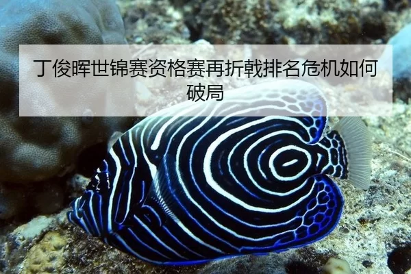 丁俊晖世锦赛资格赛再折戟排名危机如何破局