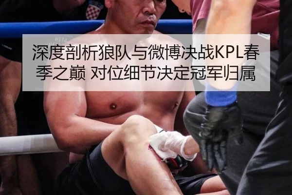 深度剖析狼队与微博决战KPL春季之巅 对位细节决定冠军归属