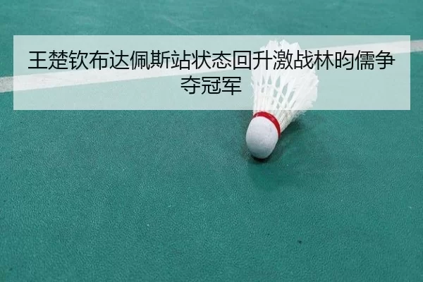 王楚钦布达佩斯站状态回升激战林昀儒争夺冠军