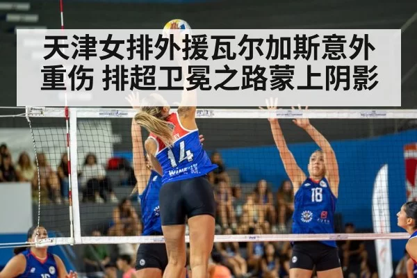 volleyball match